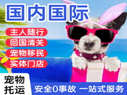 永兴航空快递国际宠物托运 【国